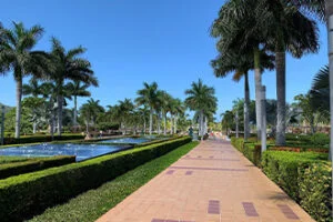 Hotel Riu Palace Costa Rica grounds