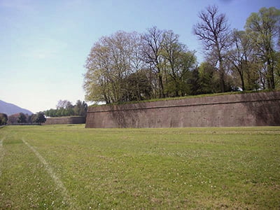 Lucca City Walls