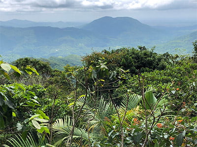 Pluma Hidalgo