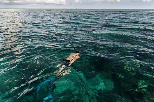 Snorkeling in Freeport Bahamas
