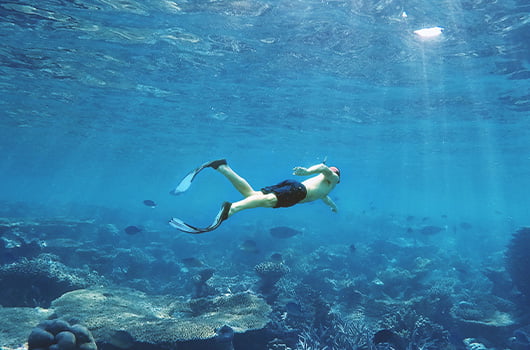 Snorkeling