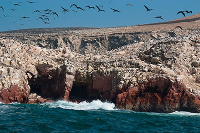 Ballestas Islands