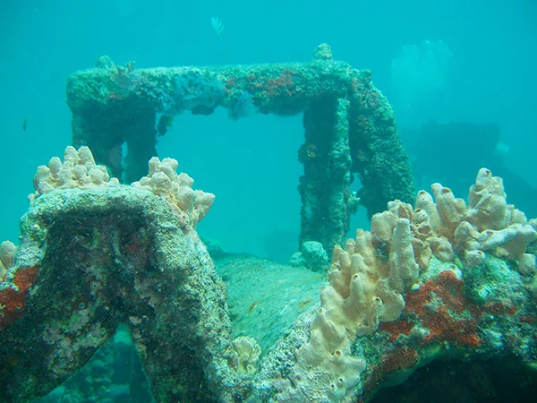 Pedernales Wreck