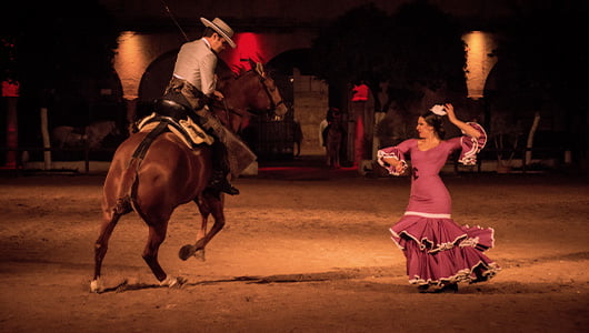 Andalusian horse and Flamenco dance