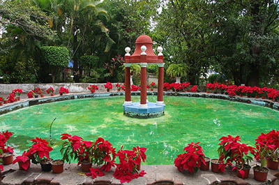 Morelos Garden