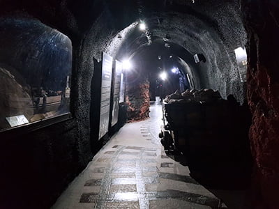Paso Tunel de Mineria