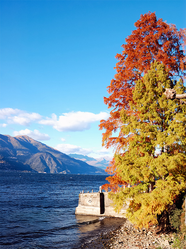 Autumn at Lake Como